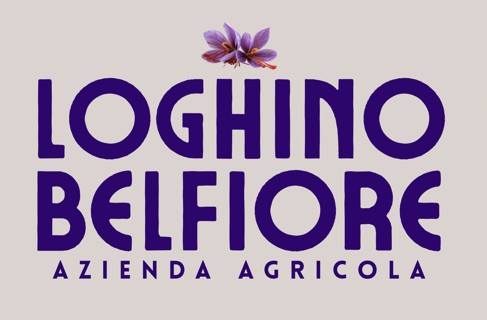 Loghino Belfiore – Zafferano di Mantova