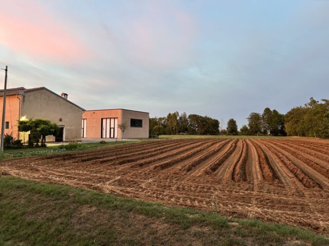 Campo di Zafferano Mantova
