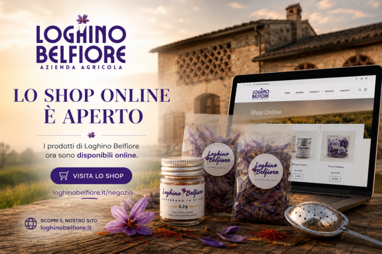 È online il nuovo Shop di Loghino Belfiore Mantova
