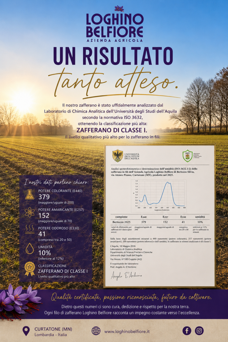 Il nostro zafferano raggiunge l’eccellenza: certificato Classe I